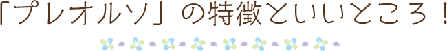 プレオルソの特徴と良いところ